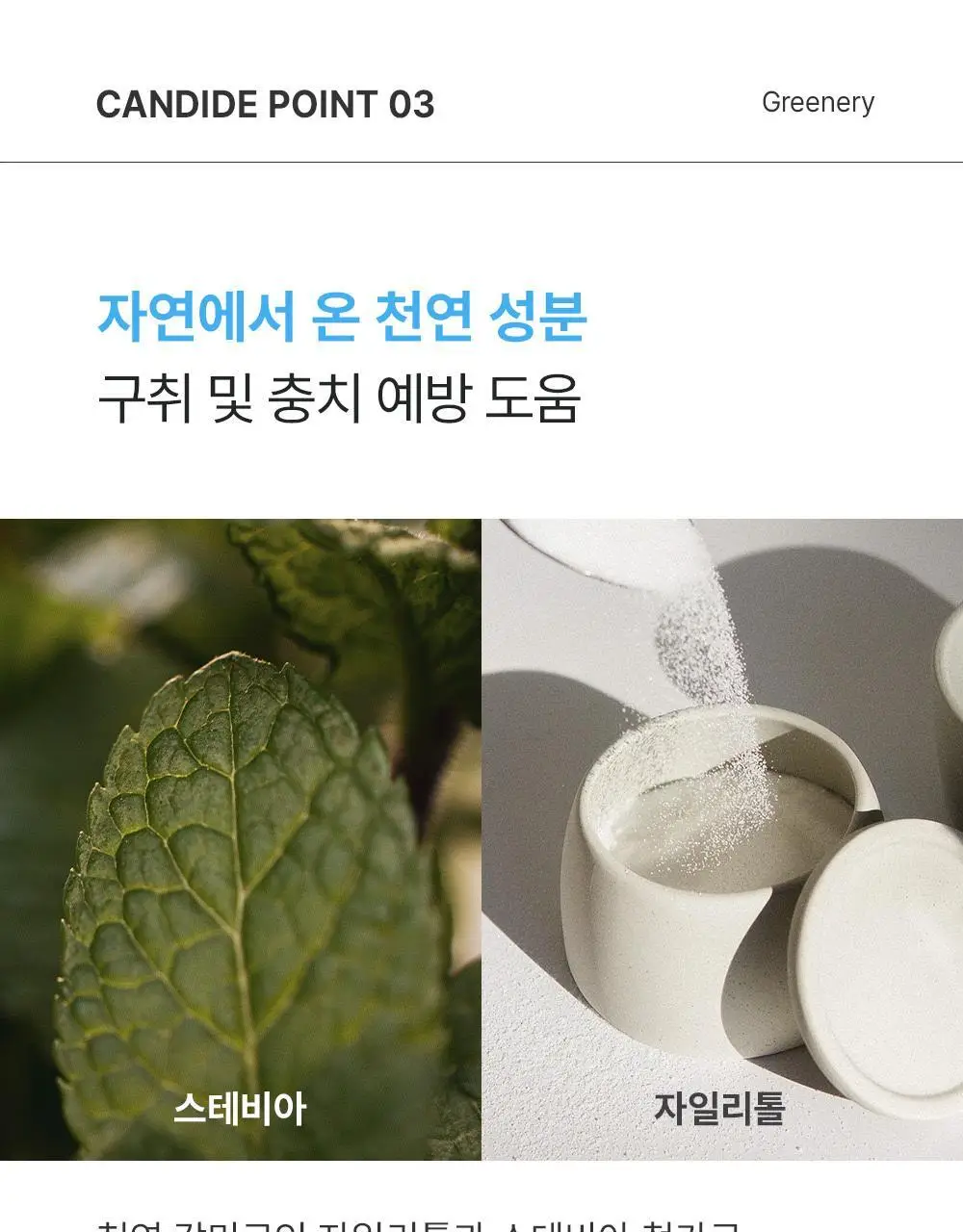 [치아미백] 칸디데 화이트케어 치약 100g 상세페이지 22